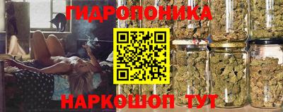 дживик Берёзовский