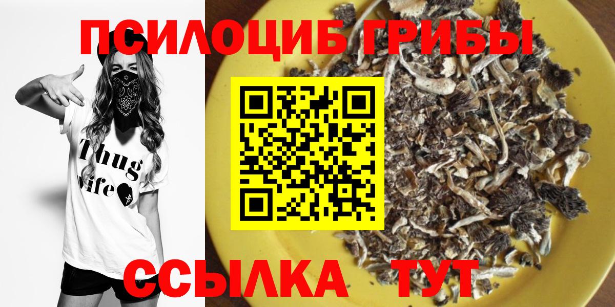 Псилоцибиновые грибы мухоморы Знаменск