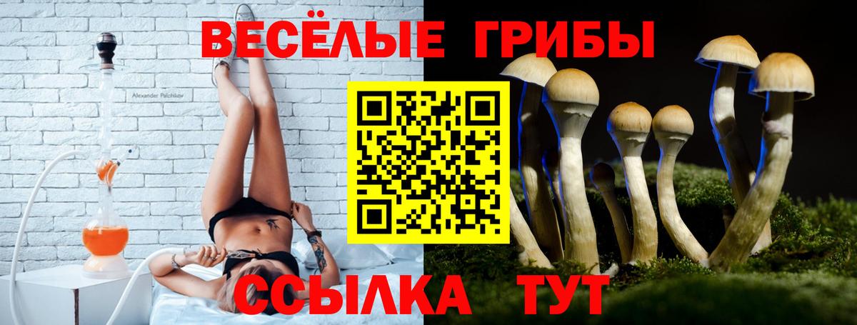 Знаменск  Псилоцибиновые грибы мухоморы  Вход с VPN 